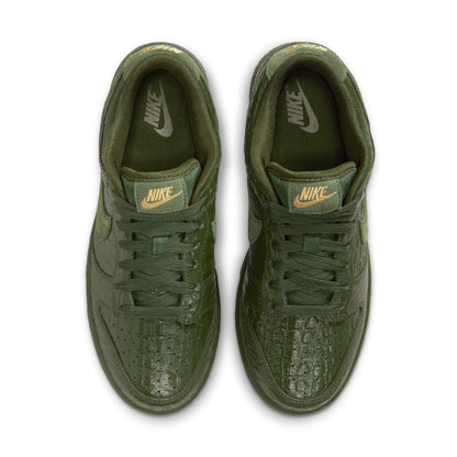 Nike Dunk Low HV4388-300