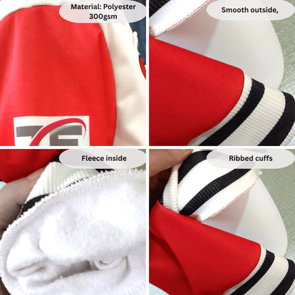 Philadelphia Eagles American Football League Pattern Varsity Jacket SH1 V2 - All-Over-Printed Jacket