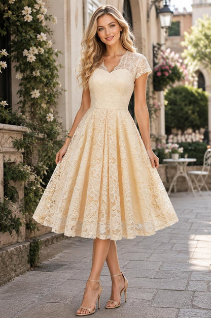Vintage Scalloped V-Neck Pleated Lace Swing Dress Birthday Evening Prom Party Women