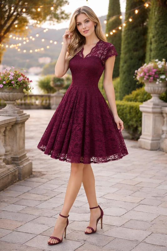 Vintage Scalloped V-Neck Pleated Lace Swing Dress Birthday Evening Prom Party Women